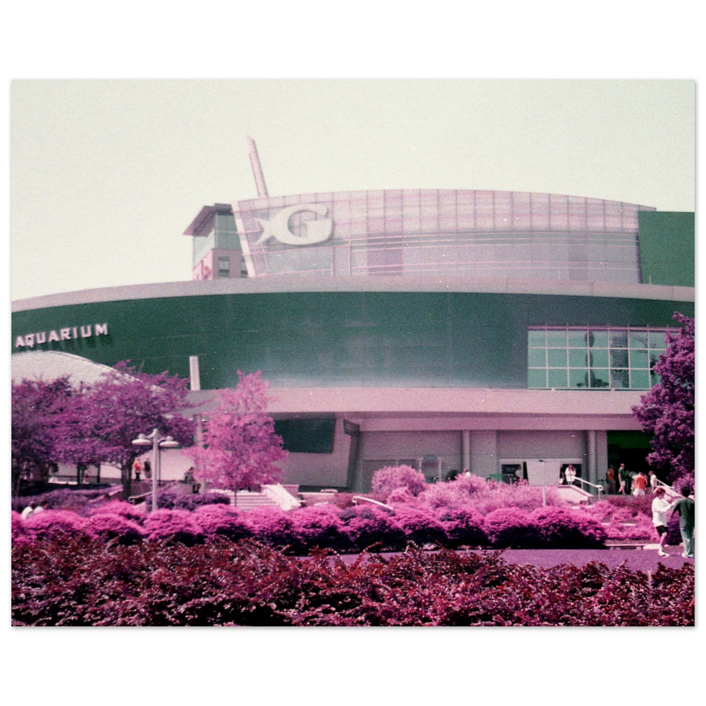 2ef6b188-6ae6-4562-b475-7926dd233e44