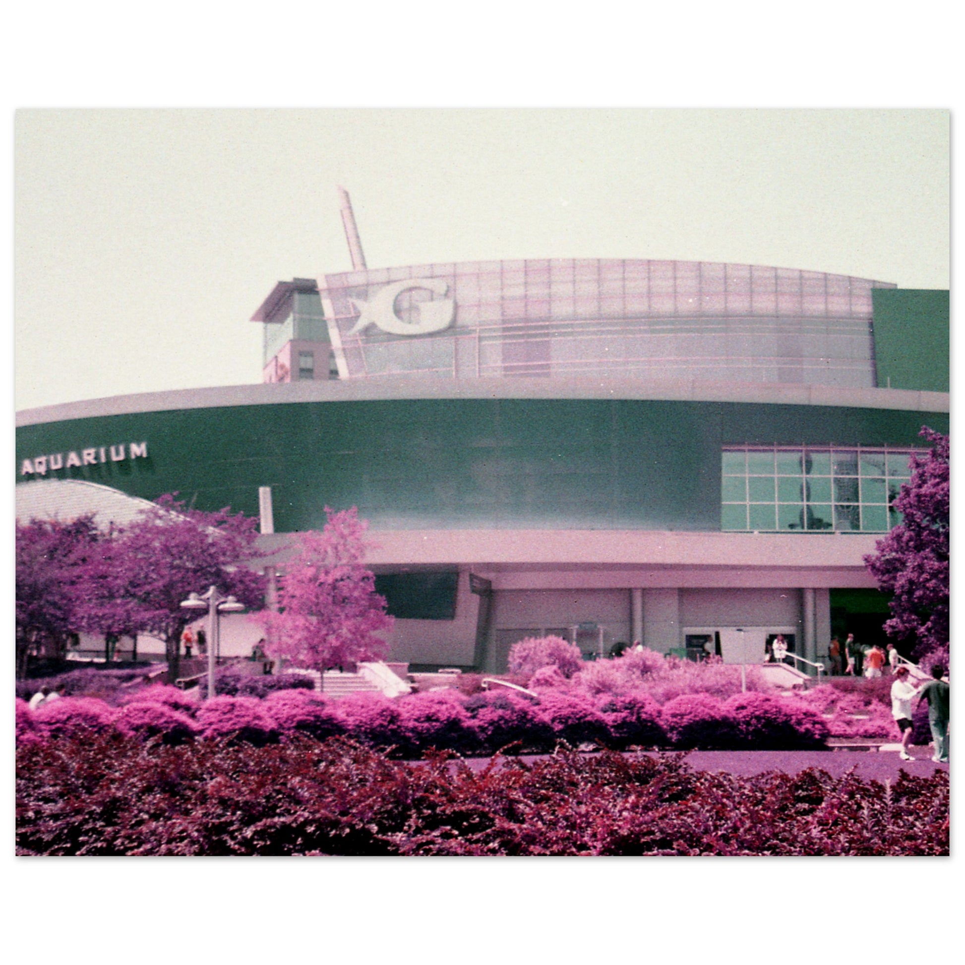 2ef6b188-6ae6-4562-b475-7926dd233e44