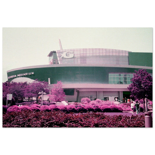 6cf2a25e-e527-48af-8024-ca03db768c2f